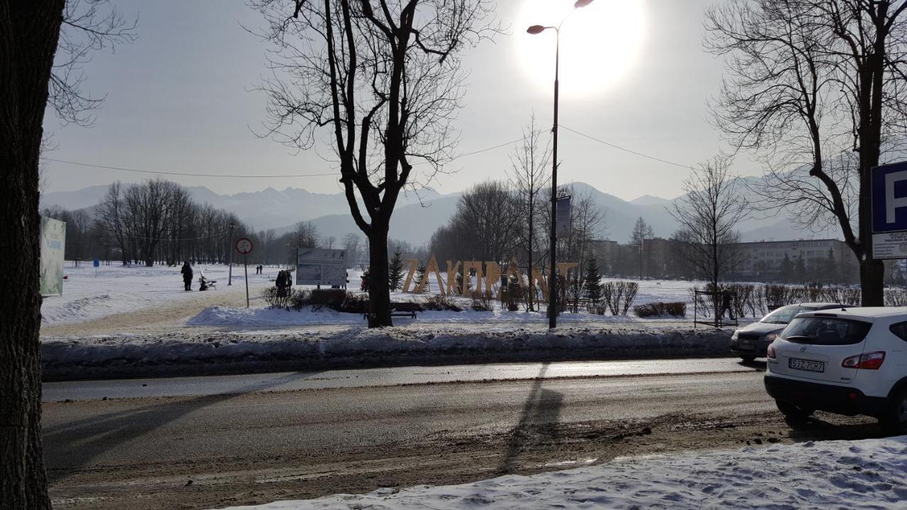 Tatrytop Studio Krupowki Zakopane Eksteriør billede