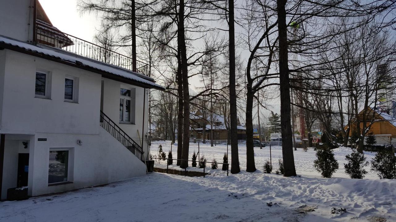Tatrytop Studio Krupowki Zakopane Eksteriør billede